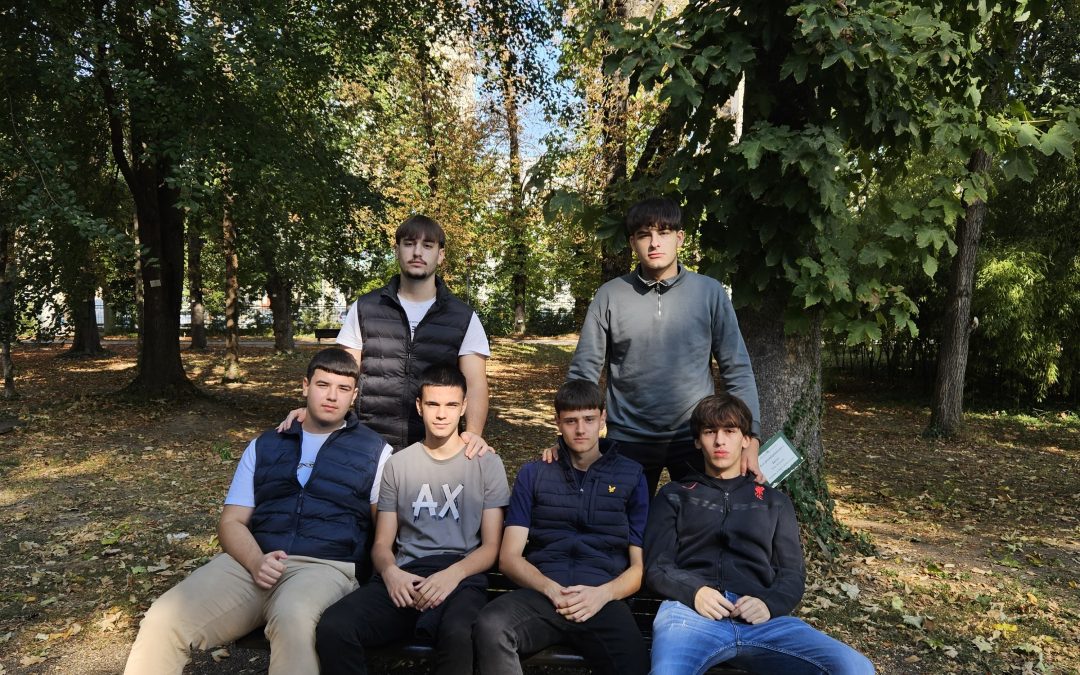 Круг подршке – башта која негује подршку